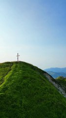 MUSIGFEST.AT Teaser: 14-17 Aug 🎶