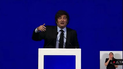 "Se están dando cuenta que se les fue la mano en atacar a la familia y a las dos vidas", dijo Milei