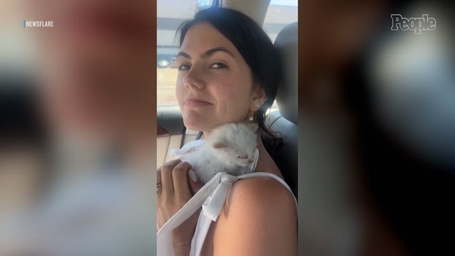 Newlyweds on Their Way to Honeymoon Rescue Tiny Kitten from Highway: 'Our Wedding Gift from the Universe'