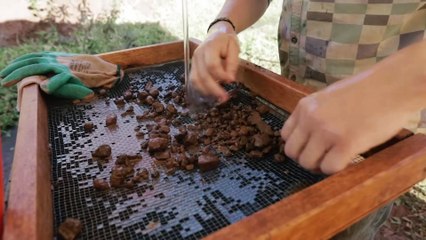 São Paulo Antes dos Paulistas - Episódio 01