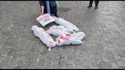 Gaza, Morgantini: "Ecco davanti al Parlamento l'immagine dei morti"