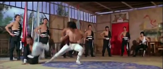 Two Champion kongfu master action clips