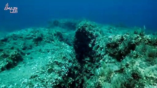 Is The Pacific Ocean Floor Being Ripped Apart?