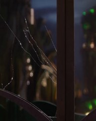 Wicked: For Good Hits Theaters November 21st!