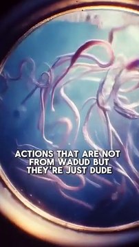 Illness and Possession_ Jinn Energy Parasites _ Frequency-Based Disease