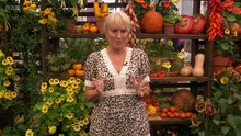 RHS Chelsea Flower Show 2025 episode 5