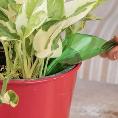 Creative Recycling Ideas on a Tight Budget