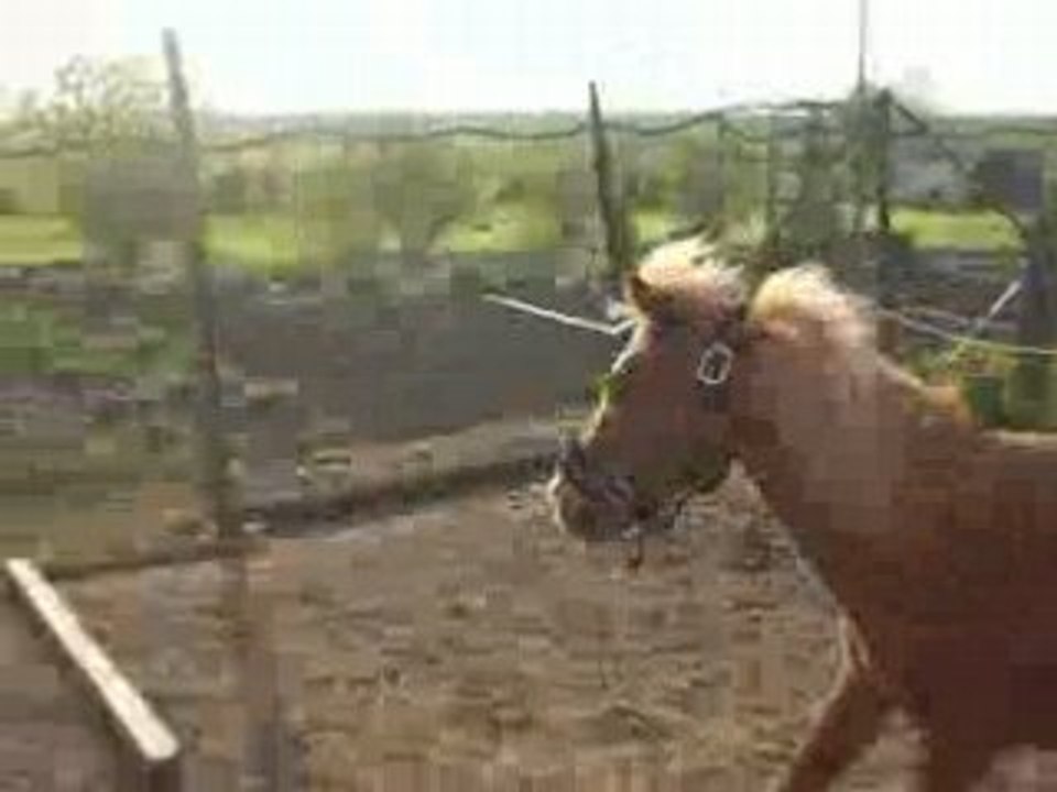 Joli-coeur saut alucinant