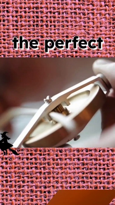 The RODA Gyroscope | Physics you can feel