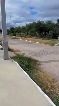 Internautas denunciam e cobram providências para retirada de mato e entulhos das ruas de Patos