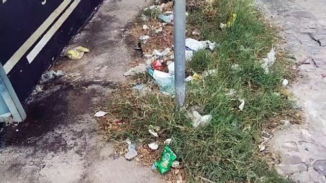 Internautas denunciam e cobram providências para retirada de mato e entulhos das ruas de Patos