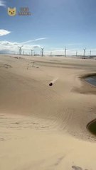 Carro voador: picape decola em duna é destruída e leva multa