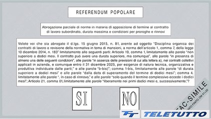 Video News - Referendum, il terzo quesito: contratti a tempo determinato