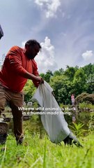 🥊 Boxer Mike vs. Fierce Mama Goose: Epic Sewer Crawl Duckling Rescue! 🦆❤️