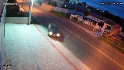 Cão é abandonado e atropelado por motorista em Araranguá