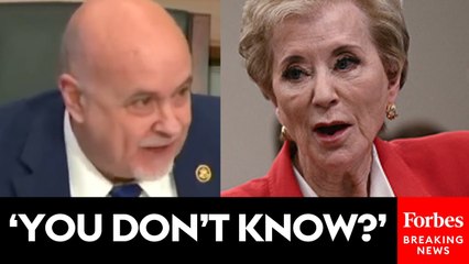 Mark Pocan Appears Shocked By Sec. Linda McMahon's Answer To His Question About Elon Musk