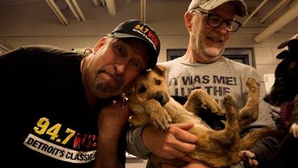 Adopting Puppies in Macomb County! | Screamin' Scott's Rescue Pet Project