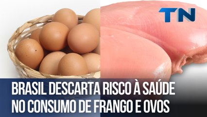 Brasil descarta risco à saúde no consumo de frango e ovos