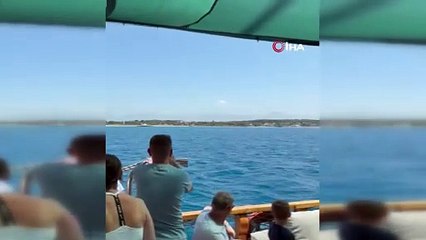 Side açıklarında Akdeniz foku görüntülendi, turistler hayretler içinde izledi