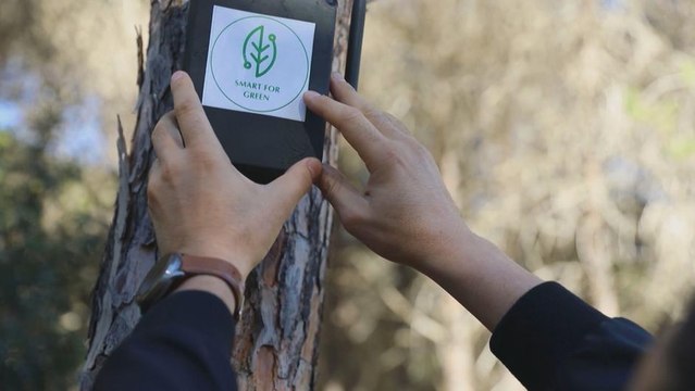 استخدام الذكاء الاصطناعي لاكتشاف حرائق الغابات