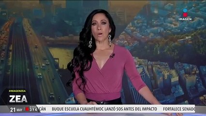 Por violencia, reubicarán a más de 700 animales del Ostok Sanctuary en Culiacán