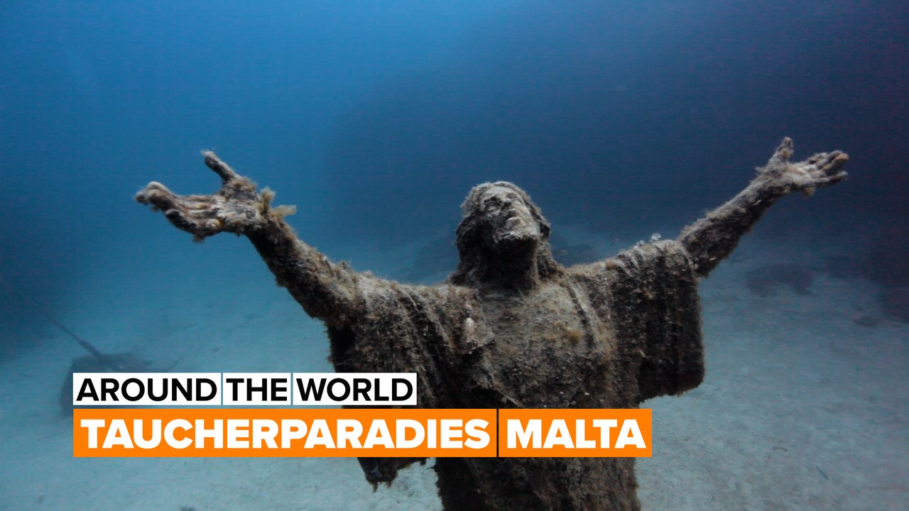 Ein ganz besonderes Taucherparadies