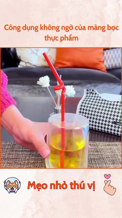 Công dụng không ngờ của màng bọc thực phẩm
