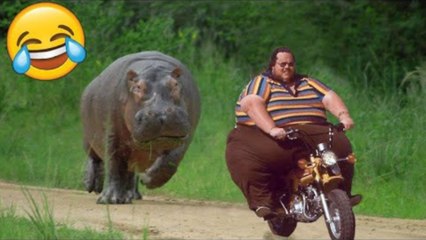 Best Funny Videos - People Being Idiots - Try Not To Laugh