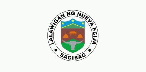 Flag of Nueva Ecija. Bendera Provinsi Ecija Baru. Nueva Ecija Province Flag. Flag of Province of Nueva Ecija. Province of Nueva Ecija Flag. Watawat ng Lalawigan ng Bagong Ecija. Watawat ng Bagong Ecija. Bendera Ecija Baru. 新怡诗夏省旗帜. ヌエバ・エシハ州の旗.