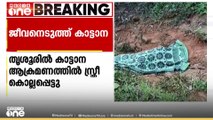 തൃശൂർ വാൽപ്പാറ അതിർത്തിയിൽ കാട്ടാന ആക്രമണത്തിൽ സ്ത്രീ കൊല്ലപ്പെട്ടു