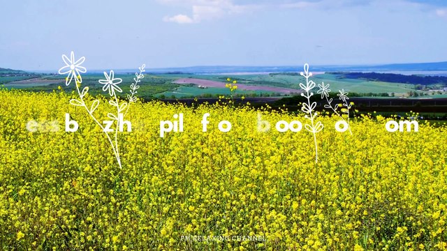 Relaxing music Relieves stress, Anxiety and Depression 🌿 Heals the Mind, body and Soul - Deep Sleep