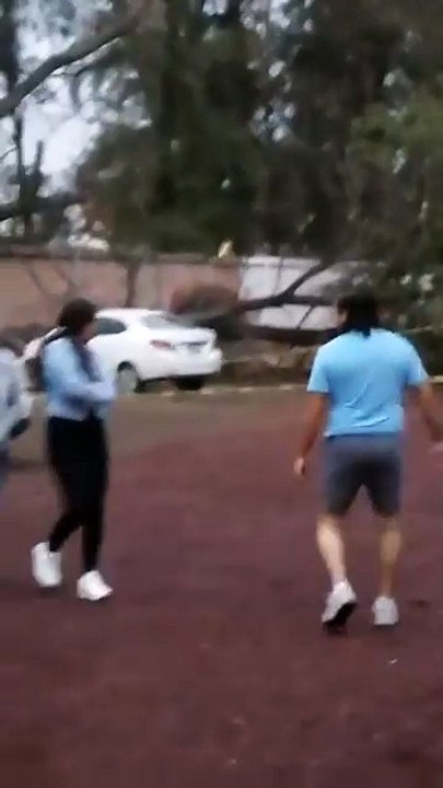 Fuertes vientos y lluvia derriban árbol sobre escuela primaria en Irapuato