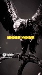 Rise & Inspire: Tough Time Will Make a Better Version of You. Watch This Powerful Motivation