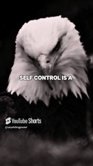 Rise & Inspire: Feeling Down ! Listen To This Powerful Motivation