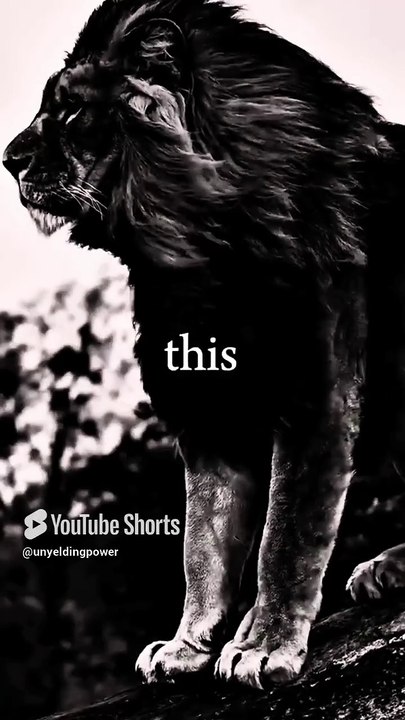 Rise & Inspire: Remember This If You Want to Get Your Goal. Must Watch This
