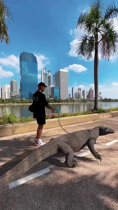 My pet walking 🚶‍♀️ 😍