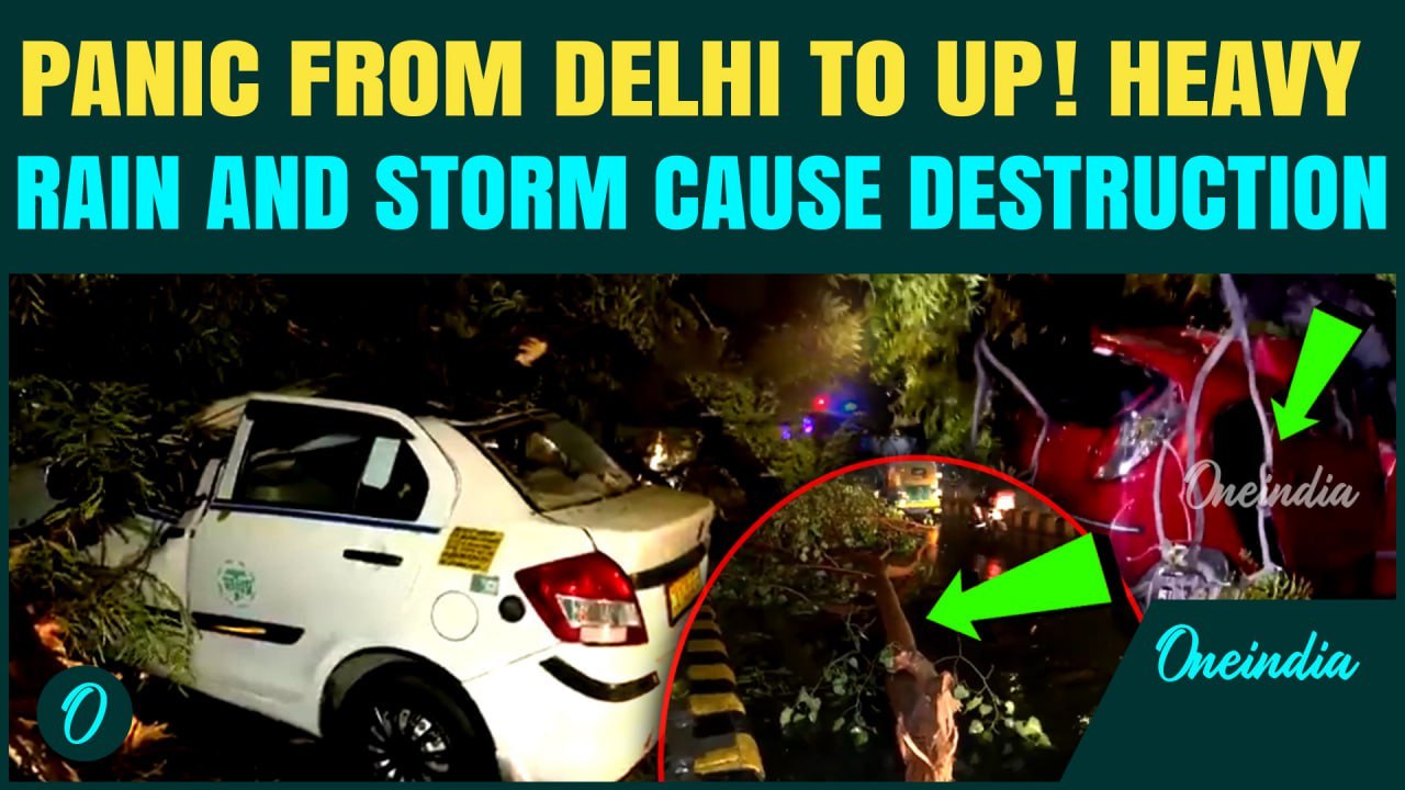 Delhi NCR Heavy Rain: Storm Wreaks Havoc in Delhi-NCR; Trees Uprooted, Banners Fall | Weather News