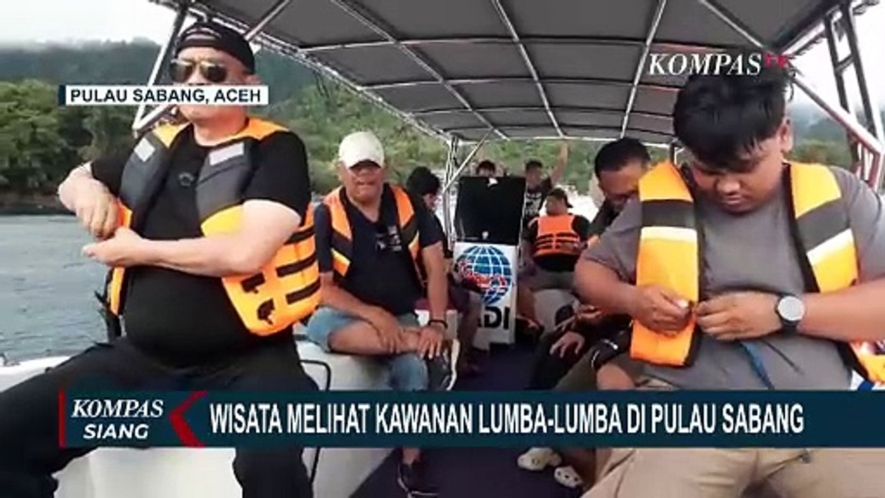 Sensasi Wisata 'Dolphin Trip' di Pulau Sabang Aceh, Serunya Melihat Lumba-lumba dari Dekat
