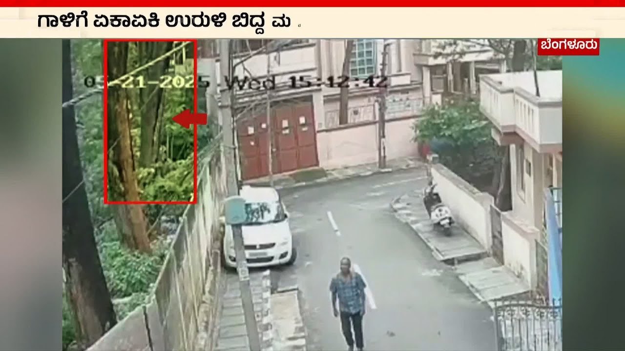 ಗಾಳಿಗೆ ಏಕಾಏಕಿ ಉರುಳಿದ ಮರ | Bengaluru Rains Suvarna News | Kannada News