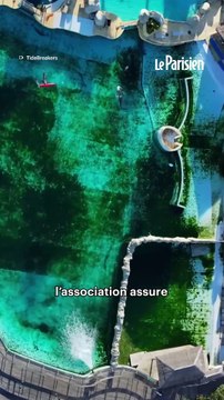 Les orques et dauphins restants du Marineland abandonnés ?