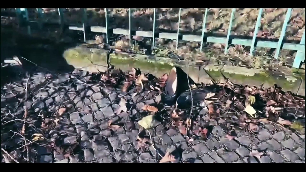 Jeder schreibt für sich allein | movie | 2023 | Official Trailer