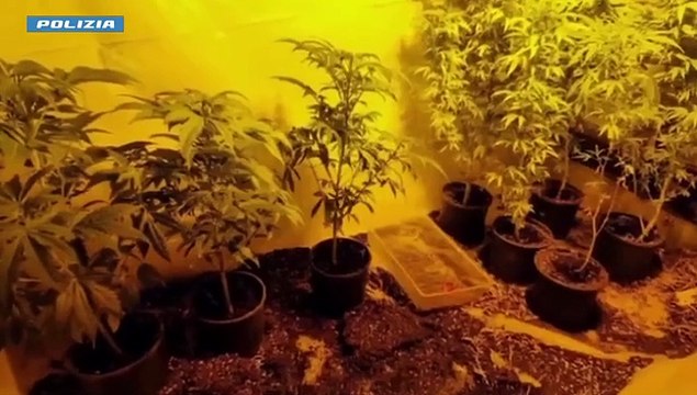 MILANO. COLPO ALLO SPACCIO INTERNAZIONALE: 24 ARRESTI, DUE IN SPAGNA (21.05.25)