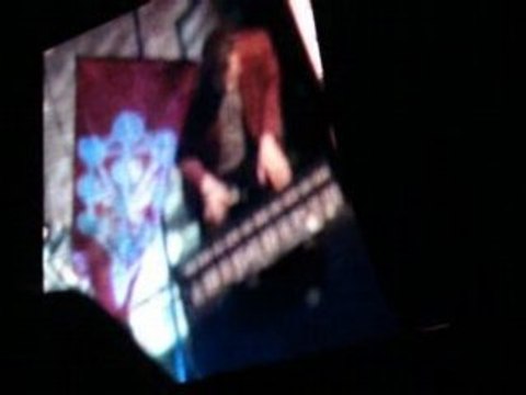 Bjork-Pagan Poetry-Rock en Seine-26Aout2007