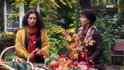 Rote Rosen Folge 1419