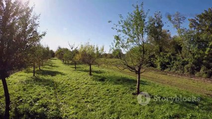 Top 10 World's Fastest Trains in 2025 🚄 Speed Records - FastestTrains.Com