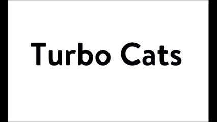 Turbo Cats will need to become a cartoon show coming on September 4, 2026 on Nickelodeon