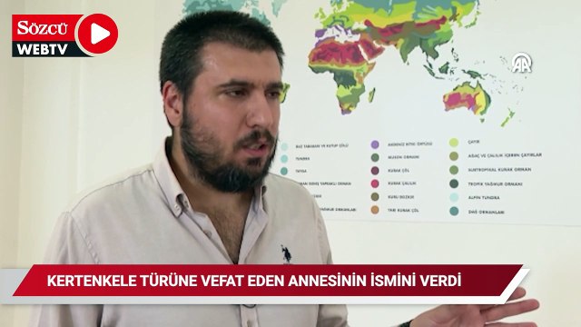 Keşfettiği kertenkele türüne vefat eden annesinin ismini verdi