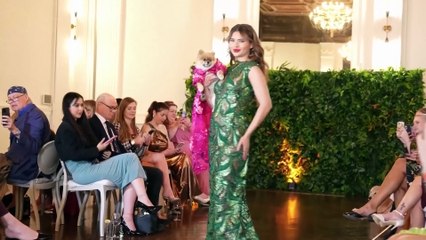 Haustiere posieren stilvoll bei Met-inspirierter Gala in New York