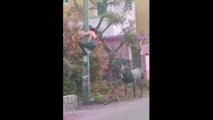 পশু পাখিদের ফানি মোমেন্ট দেখে আজ প্রান খুলে হাসুন