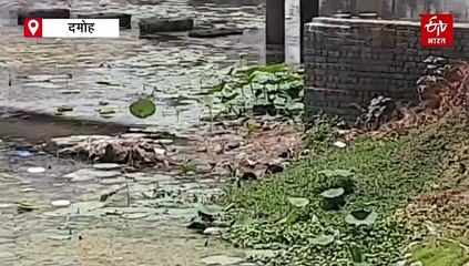 दमोह में 3 प्राचीन तालाब हुए गायब, बचे 8 वेंटिलेटर पर, मौके की तलाश में लोग